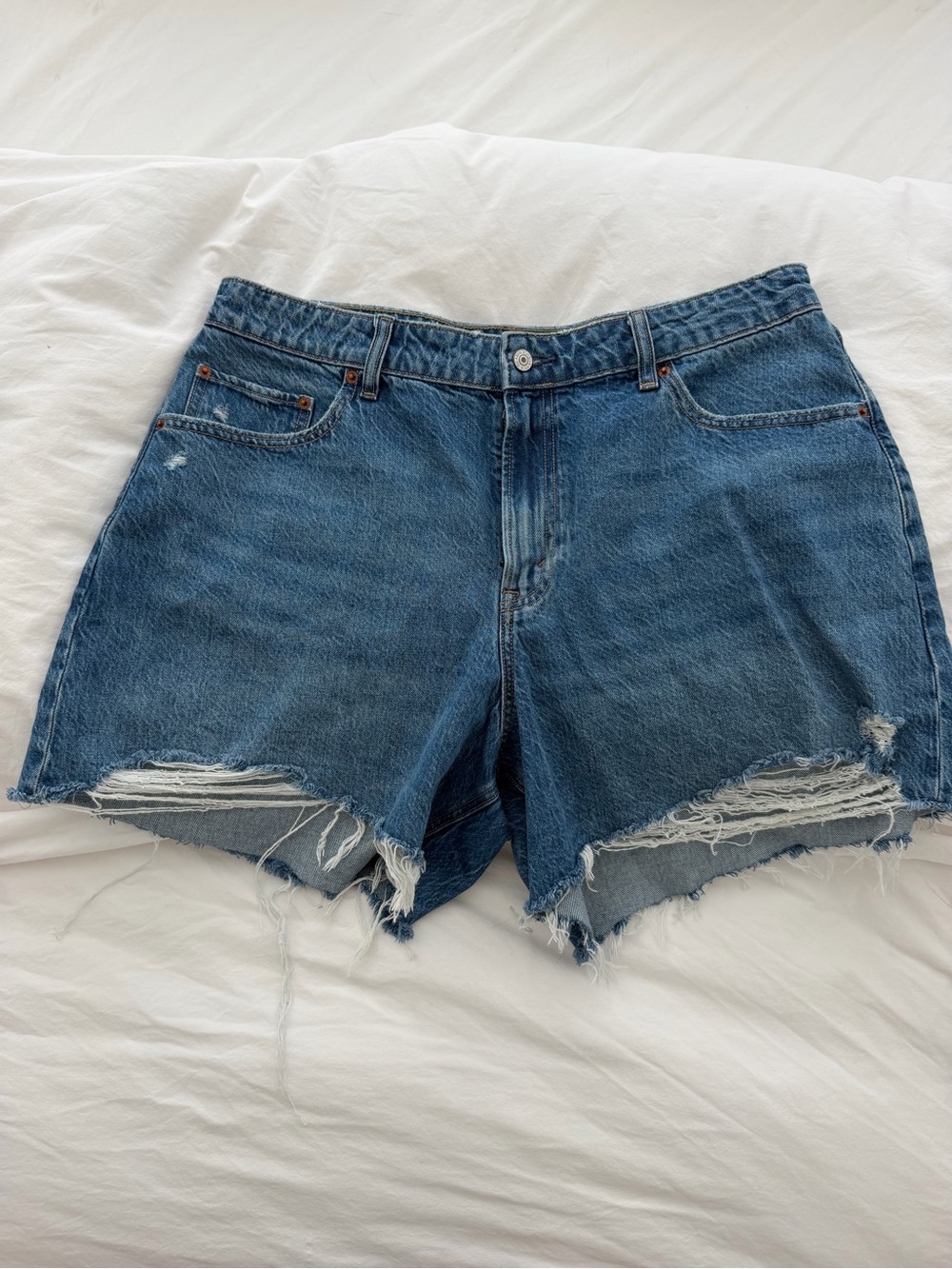 Abercrombie & Fitch High Rise Loose Short - Curve Love